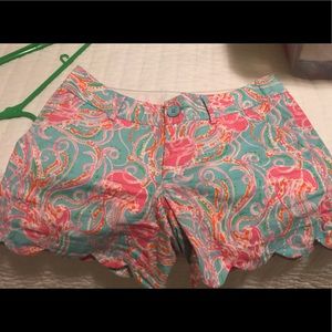 Lilly 5 inch Callahan